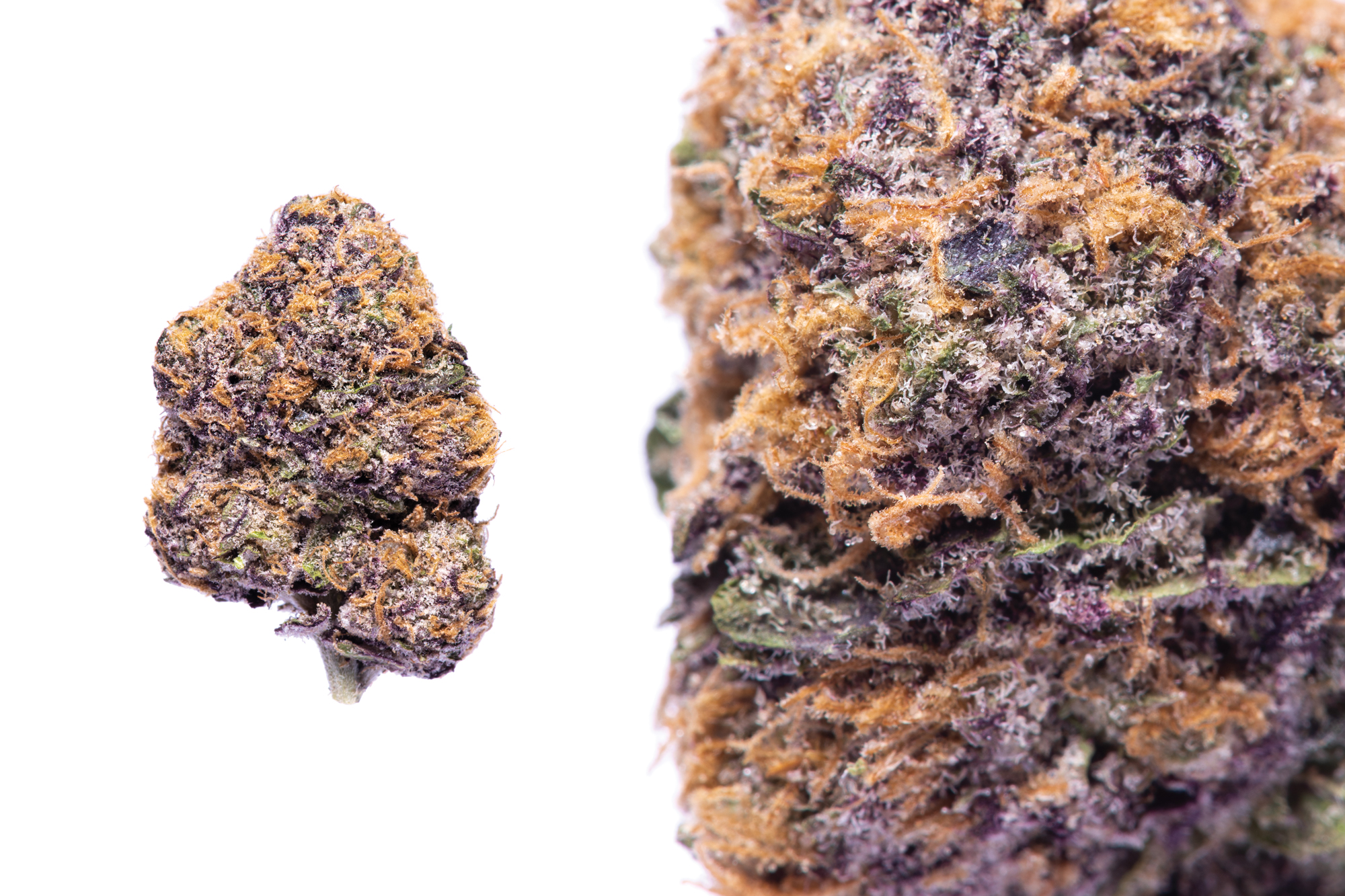 3 Best Weed Strains For Beginners