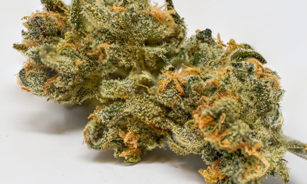 3 Best Weed Strains For Beginners Smyth Cannabis Co