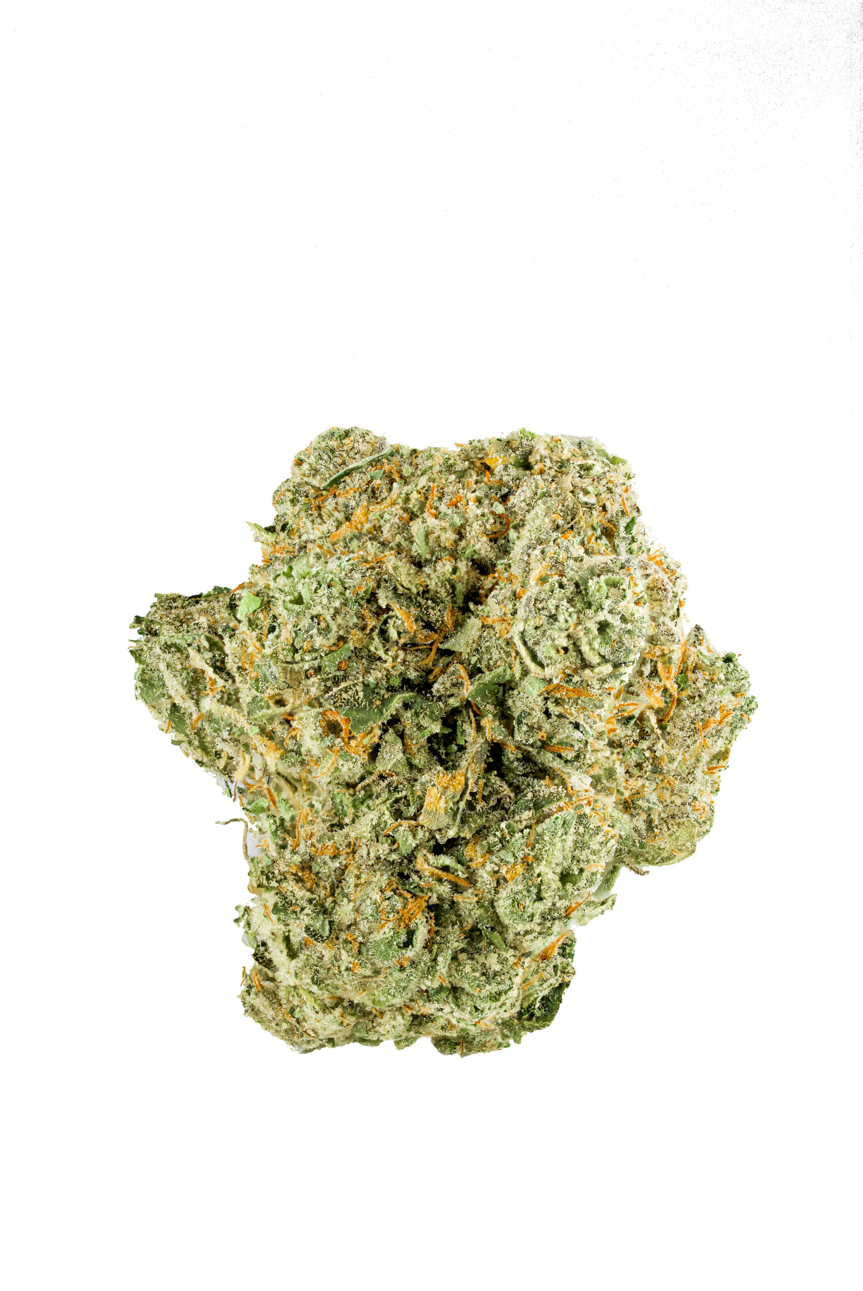 high thc strains: quattro kush by smyth cannabis co.